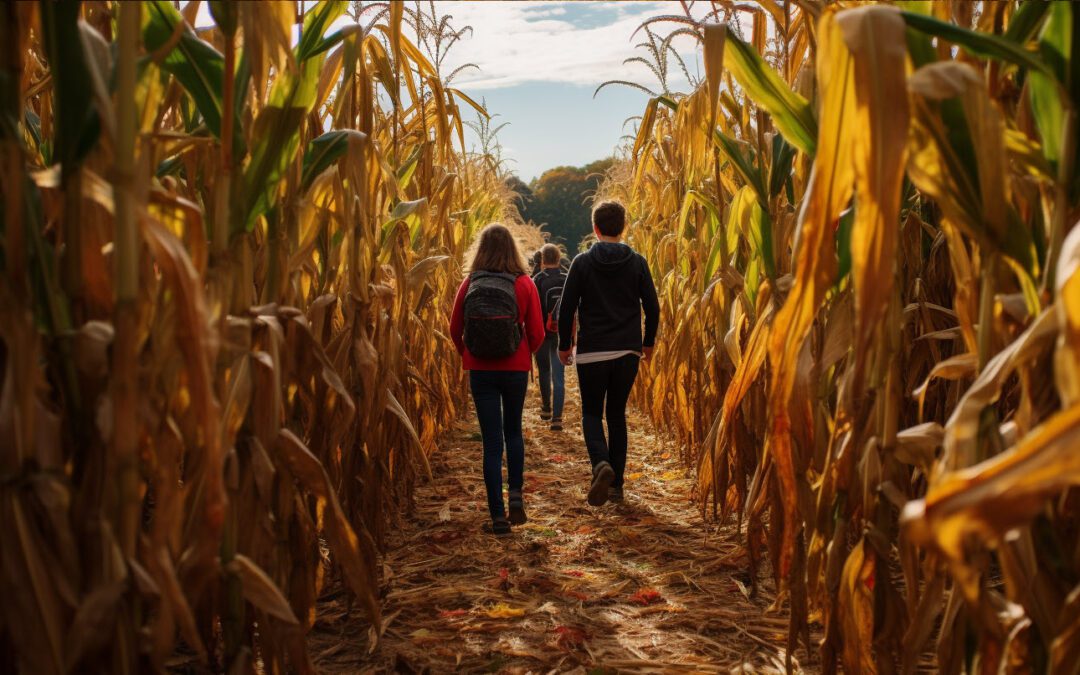 A-MAZE-ing Fun: Your Ultimate Guide to Metro Northeast Illinois Corn Maze